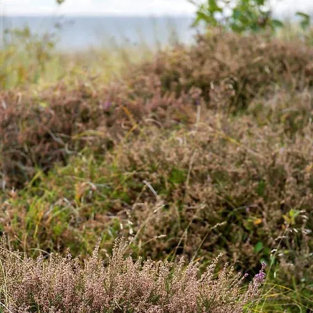 2555-romo-a-m-listsvej-6 Tatil Evi *